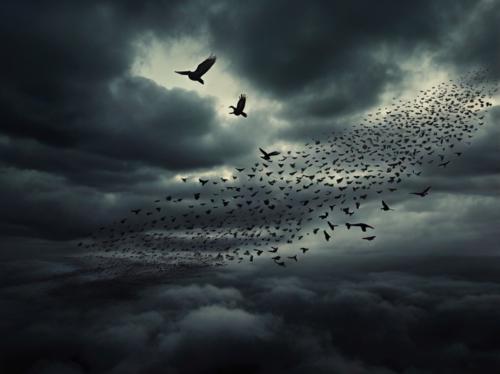 Thumbnail for /img/Blog_45.jpg 